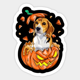 Beagle In The Pumpkin tshirt halloween costume funny gift t-shirt Sticker